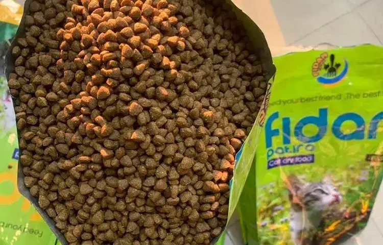 غذای خشک سگ