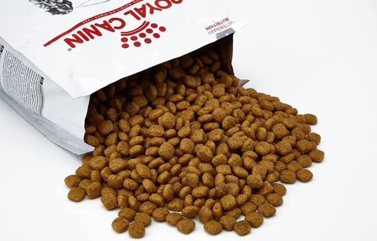 غذای خشک سگ