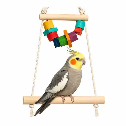 تاب قفس پرنده کد 762