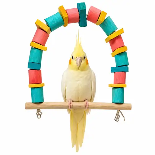 تاب قفس پرنده کد 763